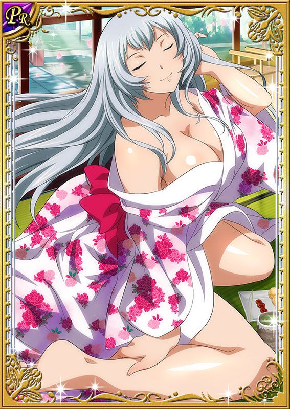 Ikkitousen Cards Coleccyion  Chou-un Shiryuu set 91