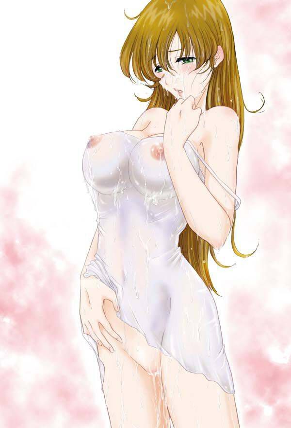 [Macross] Hayase Misa-chan's erotic image: illustrations 25
