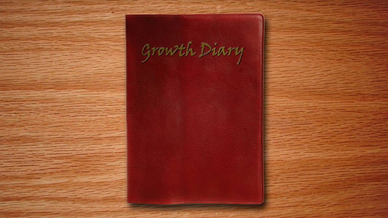 ALEXGTS - GROWTH DIARY 1