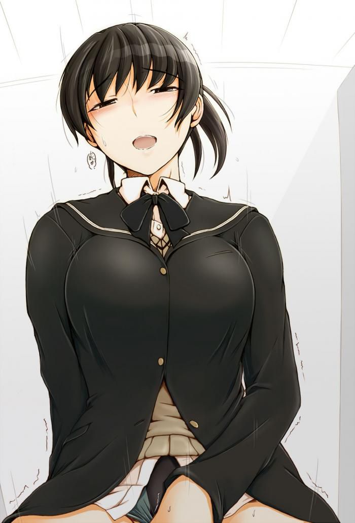 Hibiki Tsukahara's naughty sex images! 【Amagami 】 2