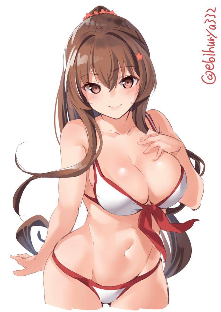 I collected erotic images of the fleet. 11