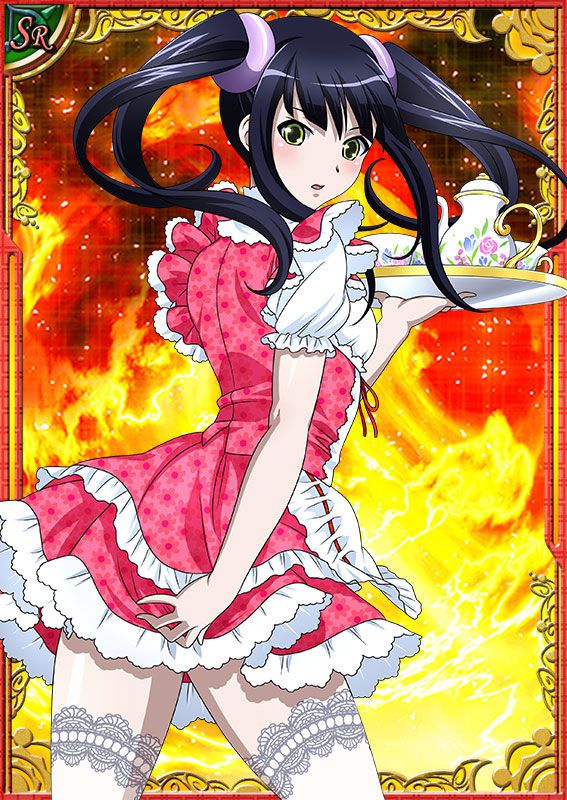 Ikkitousen Cards Coleccyion  Saji Genpou set 204