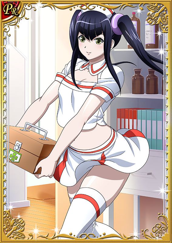 Ikkitousen Cards Coleccyion  Saji Genpou set 225