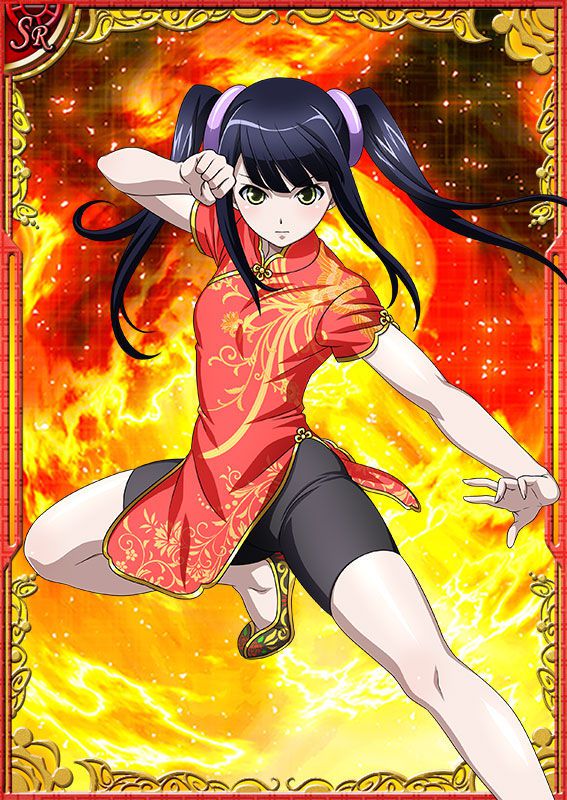 Ikkitousen Cards Coleccyion  Saji Genpou set 240