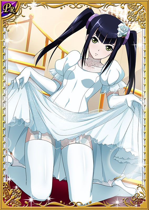 Ikkitousen Cards Coleccyion  Saji Genpou set 269