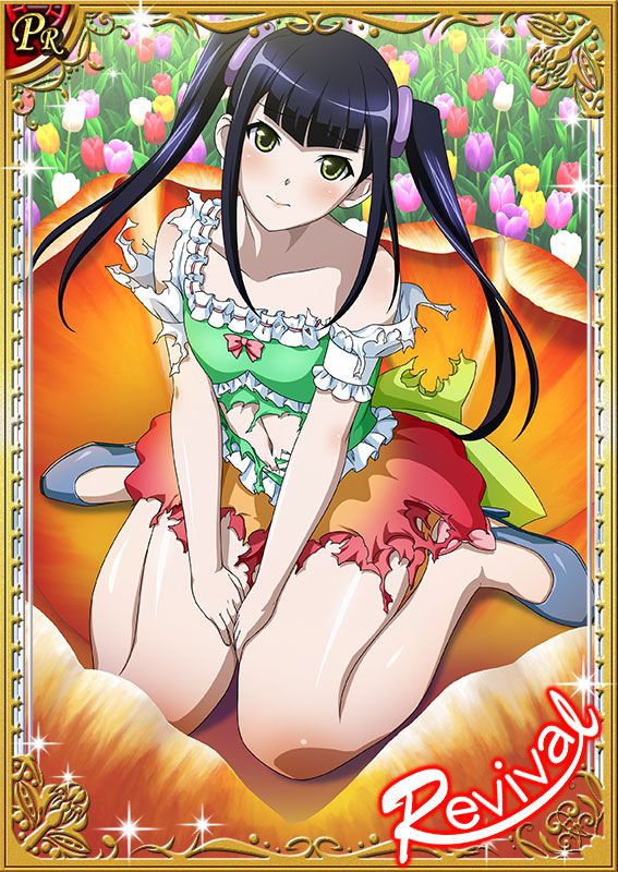 Ikkitousen Cards Coleccyion  Saji Genpou set 295