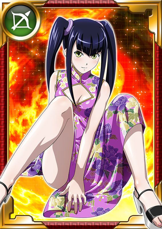 Ikkitousen Cards Coleccyion  Saji Genpou set 392