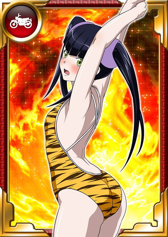 Ikkitousen Cards Coleccyion  Saji Genpou set 455