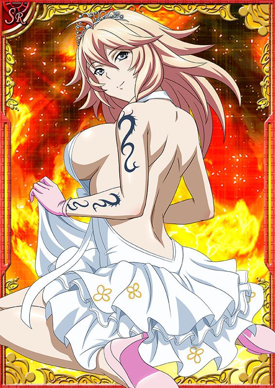 Ikkitousen Cards Coleccyion  Shiba'i Chuutatsu set 139