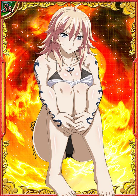 Ikkitousen Cards Coleccyion  Shiba'i Chuutatsu set 153