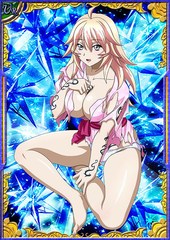 Ikkitousen Cards Coleccyion  Shiba'i Chuutatsu set 160