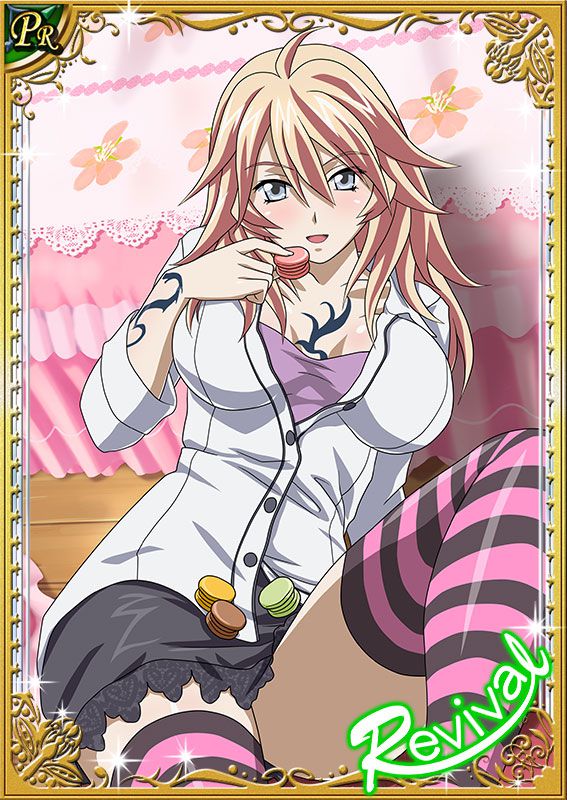 Ikkitousen Cards Coleccyion  Shiba'i Chuutatsu set 172