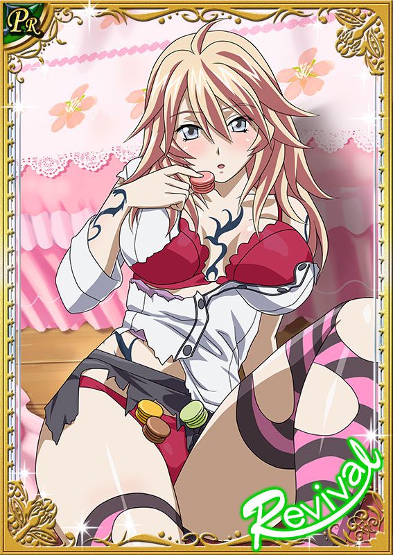 Ikkitousen Cards Coleccyion  Shiba'i Chuutatsu set 173