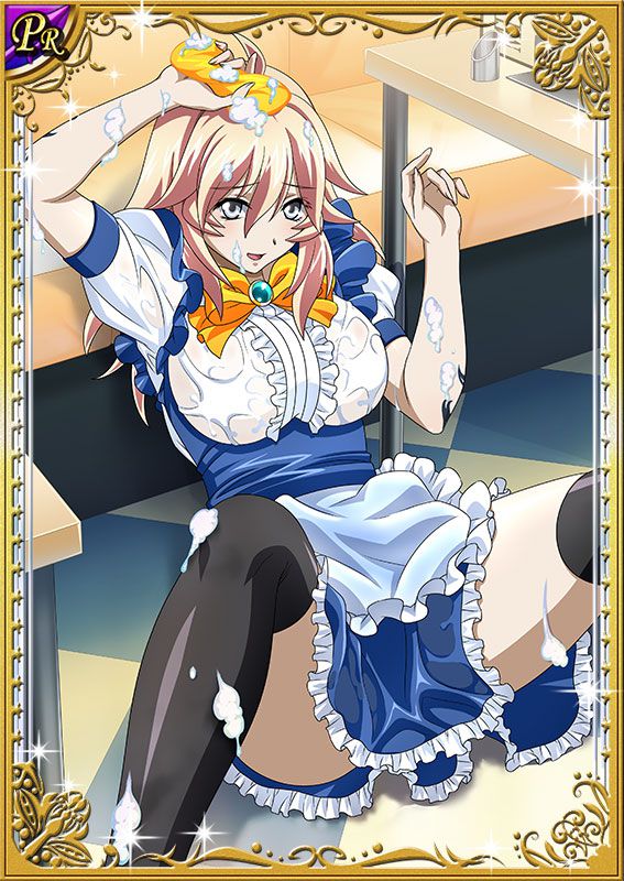 Ikkitousen Cards Coleccyion  Shiba'i Chuutatsu set 177