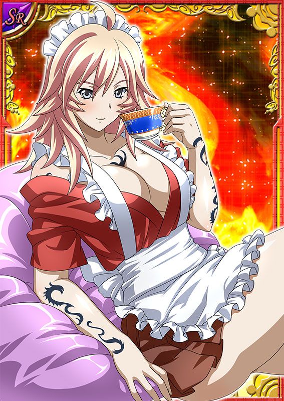 Ikkitousen Cards Coleccyion  Shiba'i Chuutatsu set 19