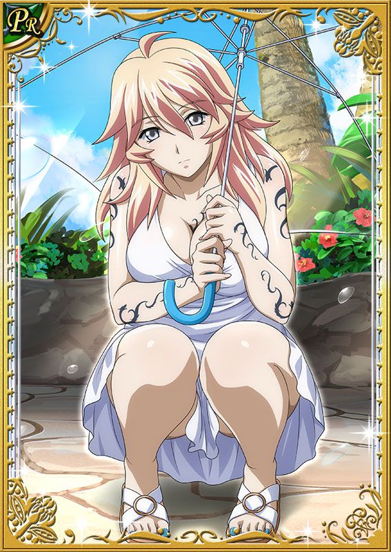 Ikkitousen Cards Coleccyion  Shiba'i Chuutatsu set 202