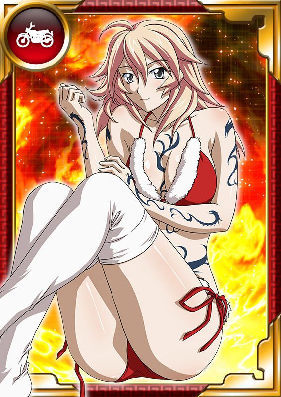 Ikkitousen Cards Coleccyion  Shiba'i Chuutatsu set 209