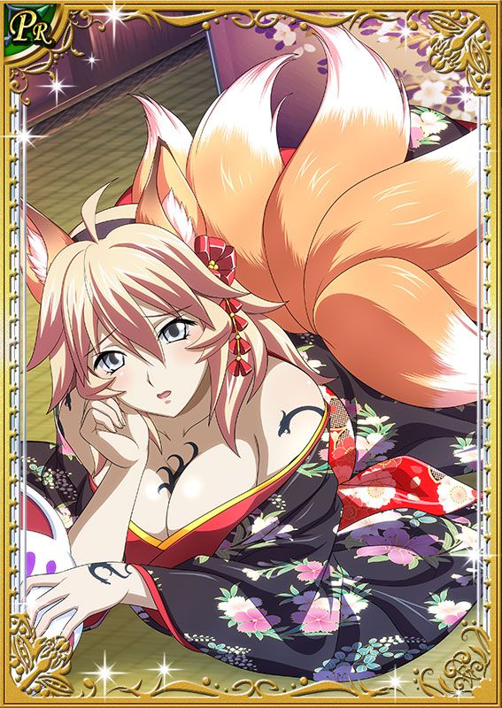 Ikkitousen Cards Coleccyion  Shiba'i Chuutatsu set 241