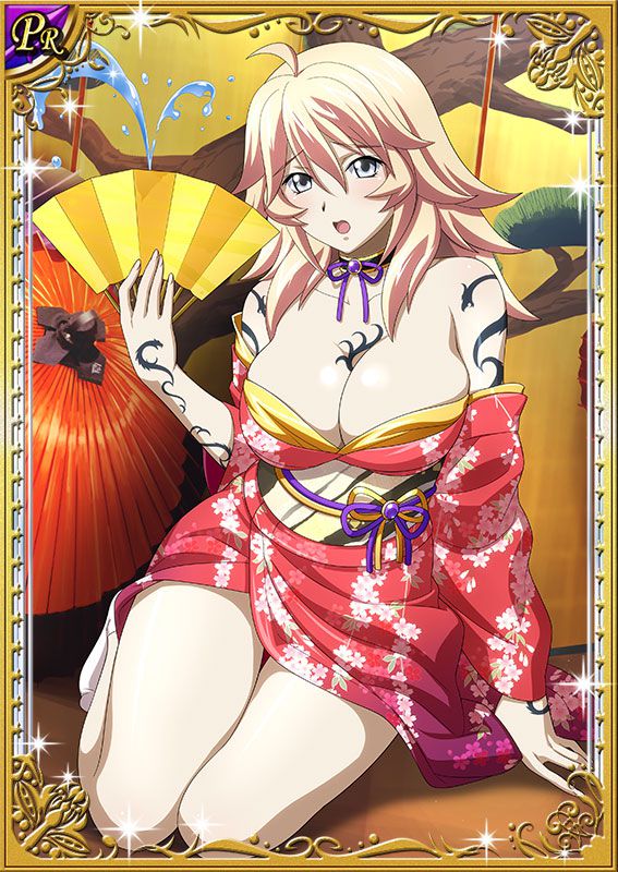 Ikkitousen Cards Coleccyion  Shiba'i Chuutatsu set 245