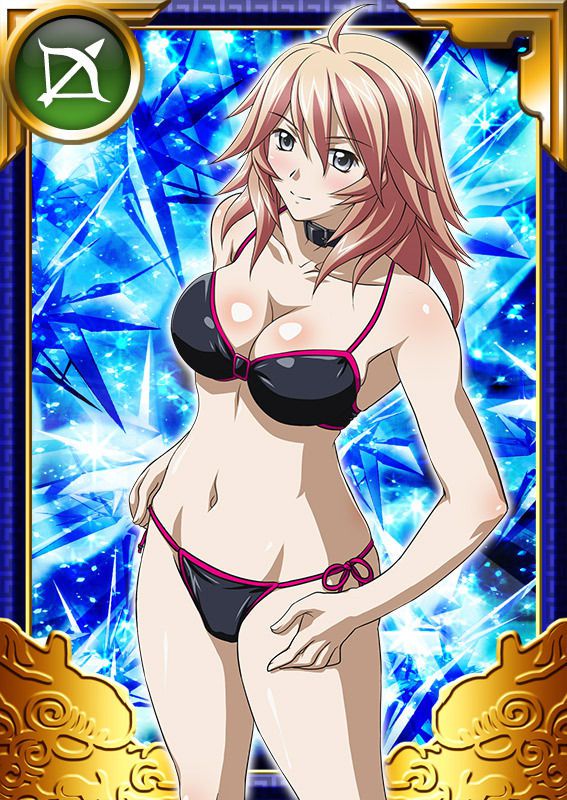 Ikkitousen Cards Coleccyion  Shiba'i Chuutatsu set 267