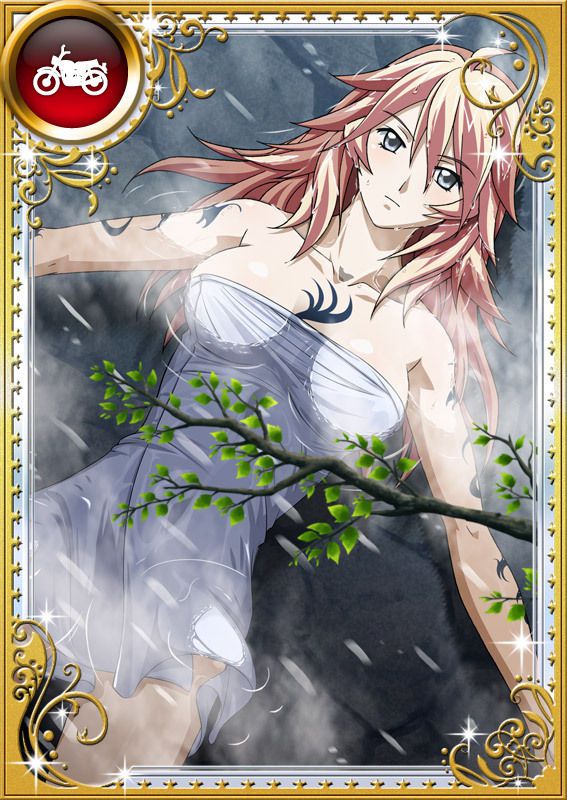 Ikkitousen Cards Coleccyion  Shiba'i Chuutatsu set 282