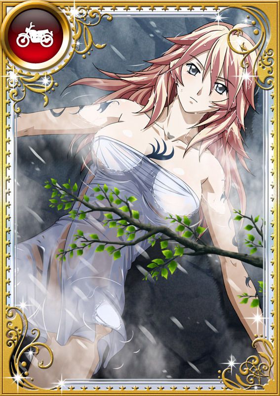 Ikkitousen Cards Coleccyion  Shiba'i Chuutatsu set 283