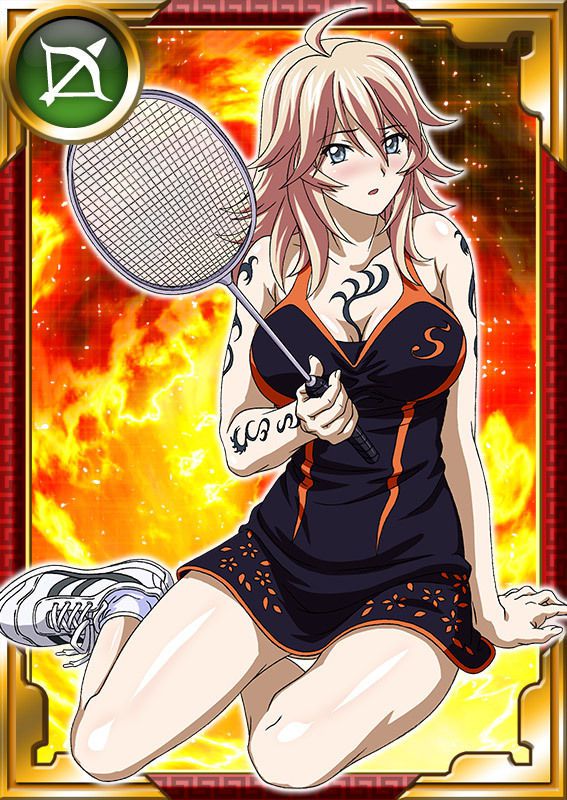 Ikkitousen Cards Coleccyion  Shiba'i Chuutatsu set 300