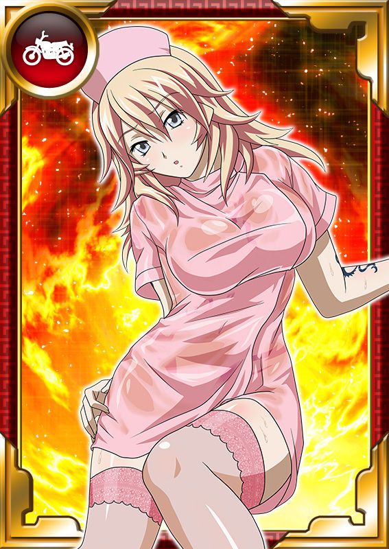 Ikkitousen Cards Coleccyion  Shiba'i Chuutatsu set 331