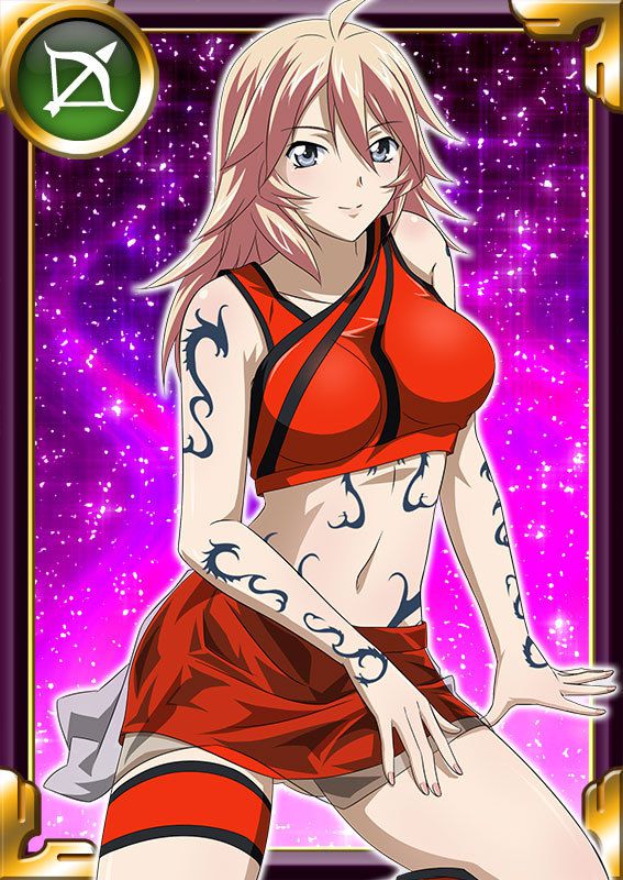 Ikkitousen Cards Coleccyion  Shiba'i Chuutatsu set 345