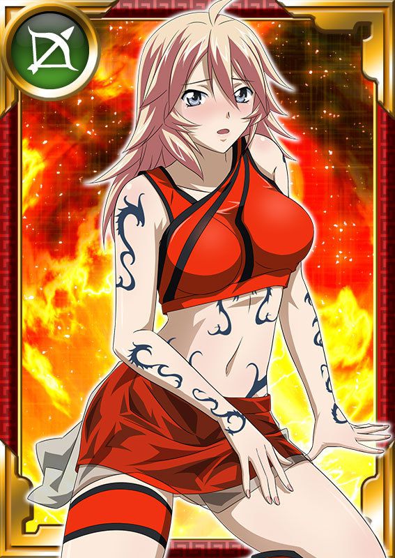 Ikkitousen Cards Coleccyion  Shiba'i Chuutatsu set 347