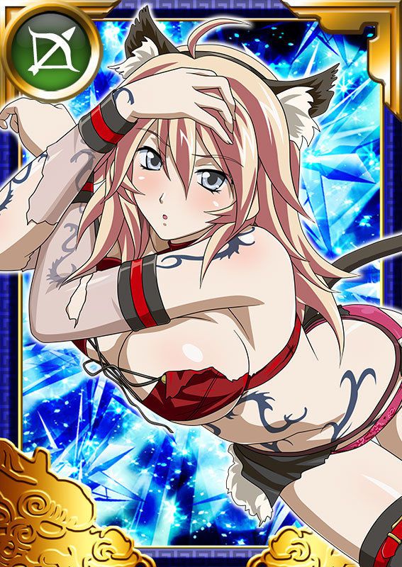 Ikkitousen Cards Coleccyion  Shiba'i Chuutatsu set 377