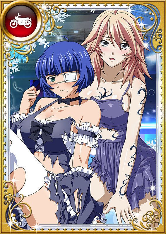 Ikkitousen Cards Coleccyion  Shiba'i Chuutatsu set 397