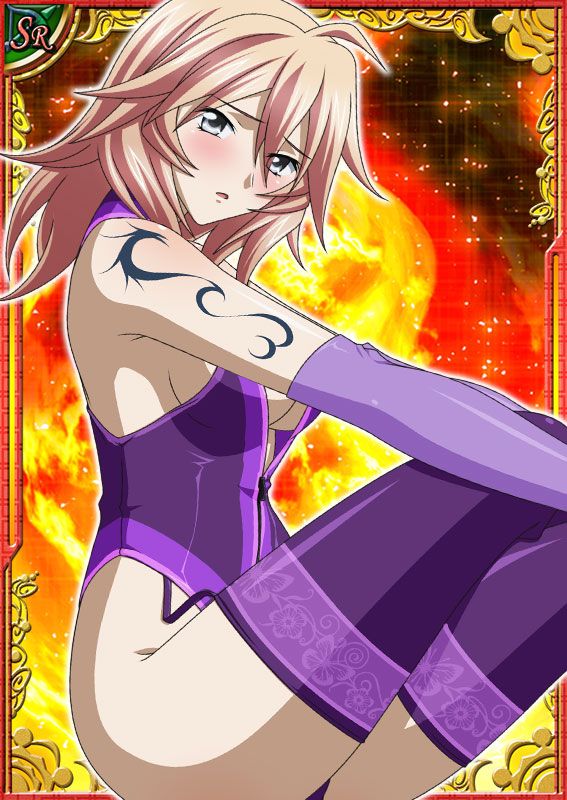 Ikkitousen Cards Coleccyion  Shiba'i Chuutatsu set 5