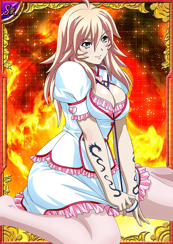 Ikkitousen Cards Coleccyion  Shiba'i Chuutatsu set 81