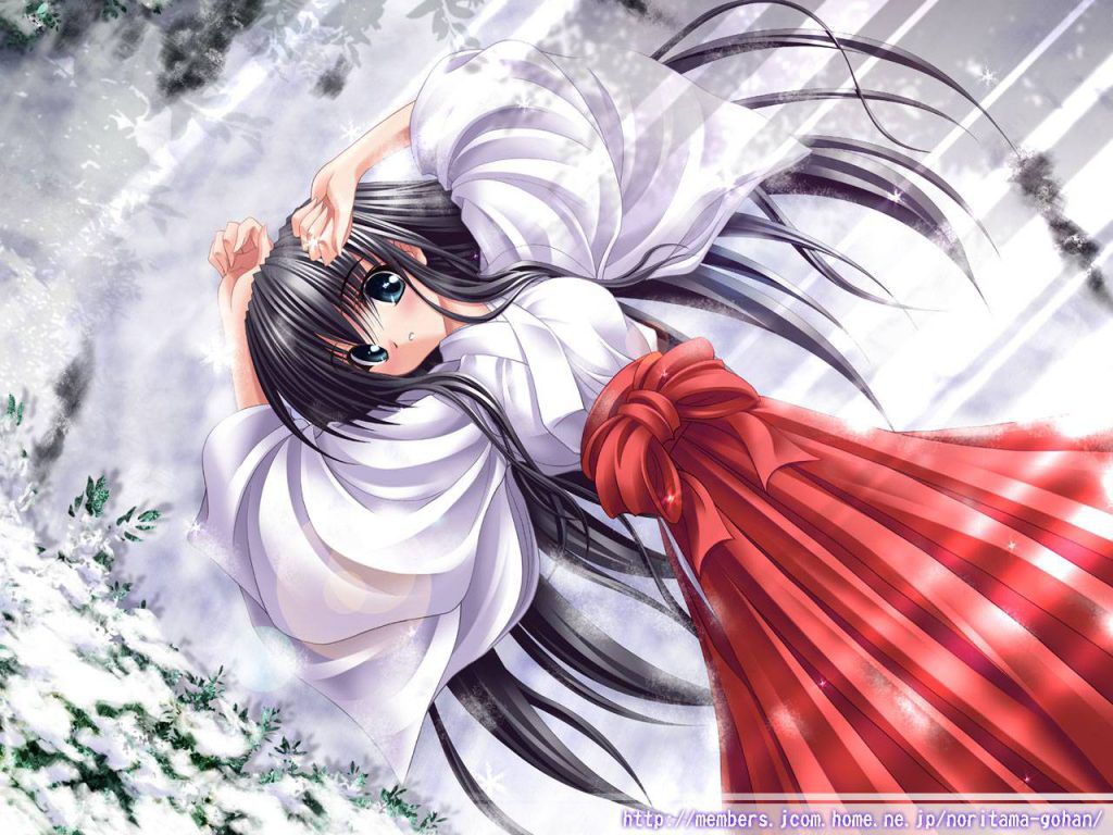 Let's dream good in the secondary erotic image of the shrine maiden♪ 2