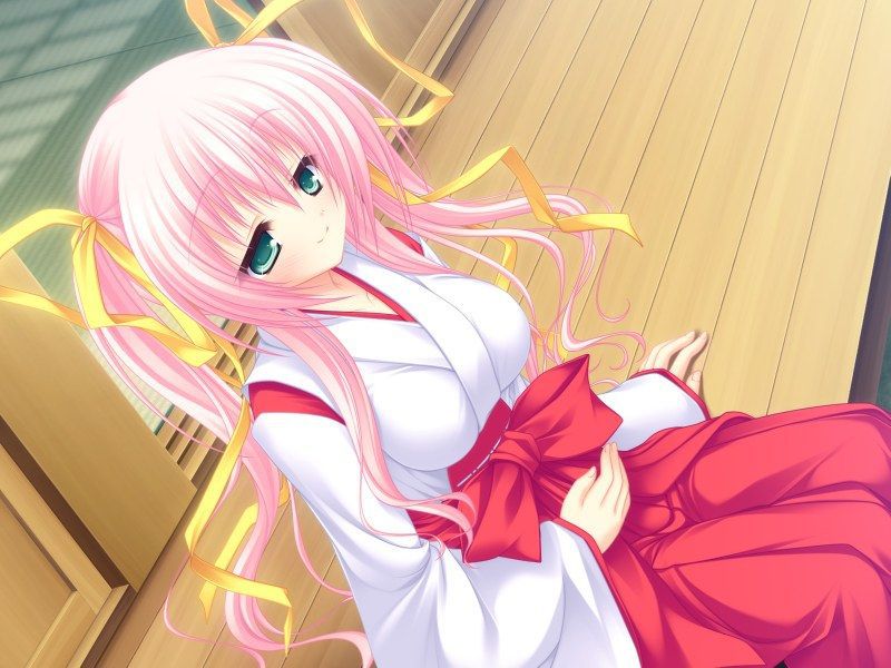 Let's dream good in the secondary erotic image of the shrine maiden♪ 3