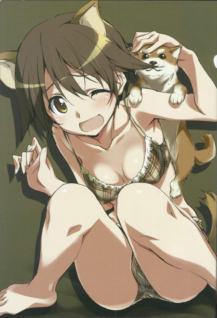 I want to pull it out with the erotic image of Strike Witches, so I'll put it on! 11