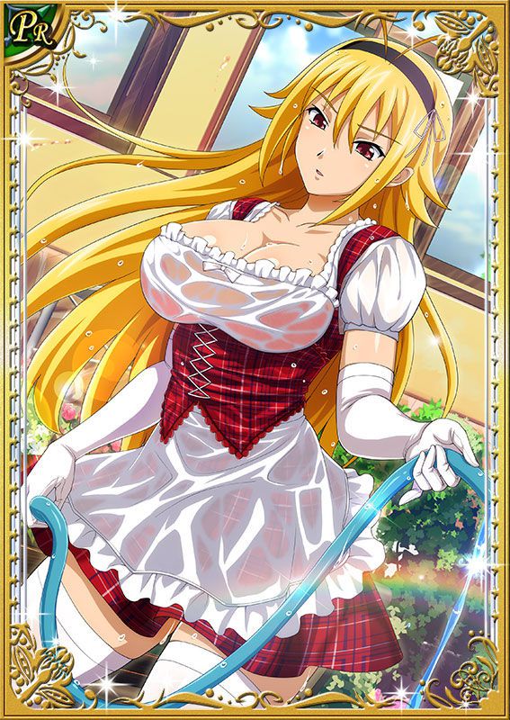 Ikkitousen Cards Coleccyion  Chousen set 123