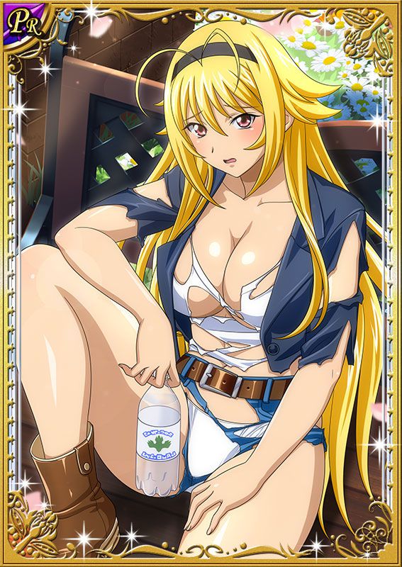 Ikkitousen Cards Coleccyion  Chousen set 226