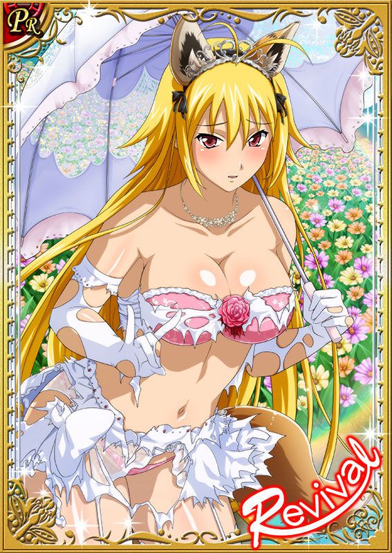 Ikkitousen Cards Coleccyion  Chousen set 231