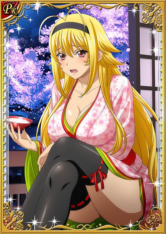 Ikkitousen Cards Coleccyion  Chousen set 270