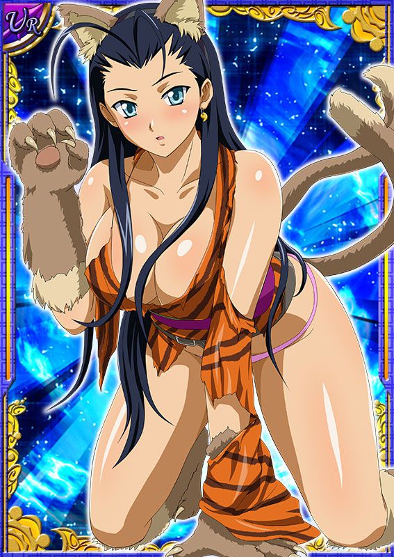 Ikkitousen Cards Coleccyion  Kakouen Myousai set 22