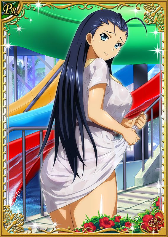 Ikkitousen Cards Coleccyion  Kakouen Myousai set 233