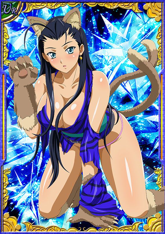 Ikkitousen Cards Coleccyion  Kakouen Myousai set 263