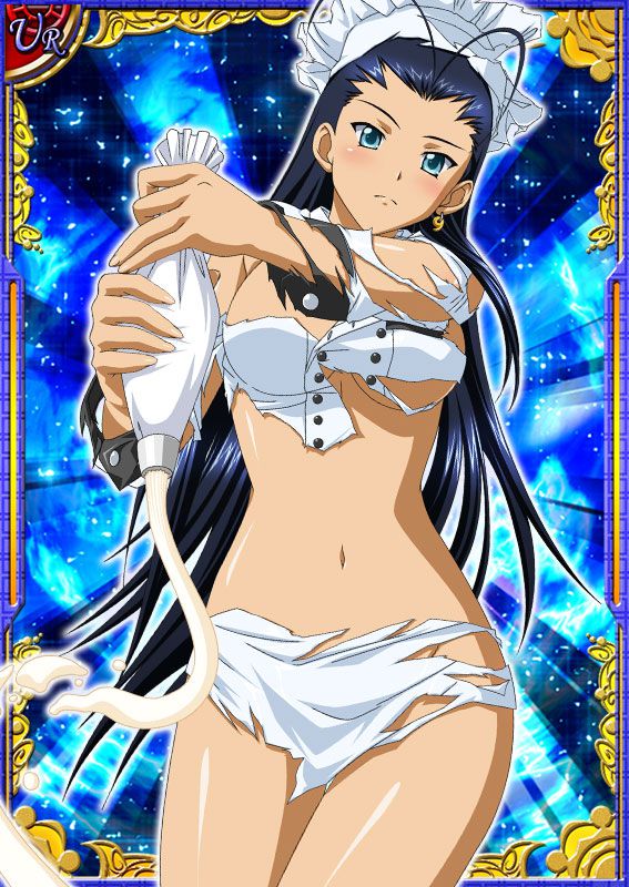 Ikkitousen Cards Coleccyion  Kakouen Myousai set 468