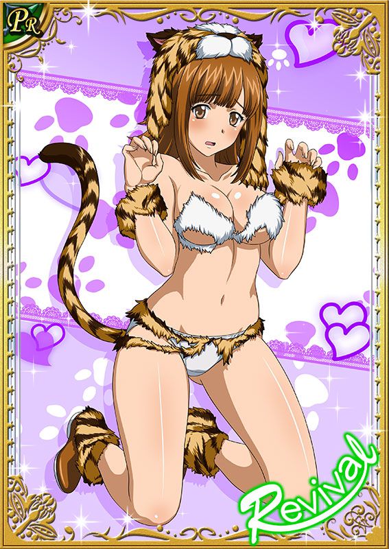 Ikkitousen Cards Coleccyion Ato set 178