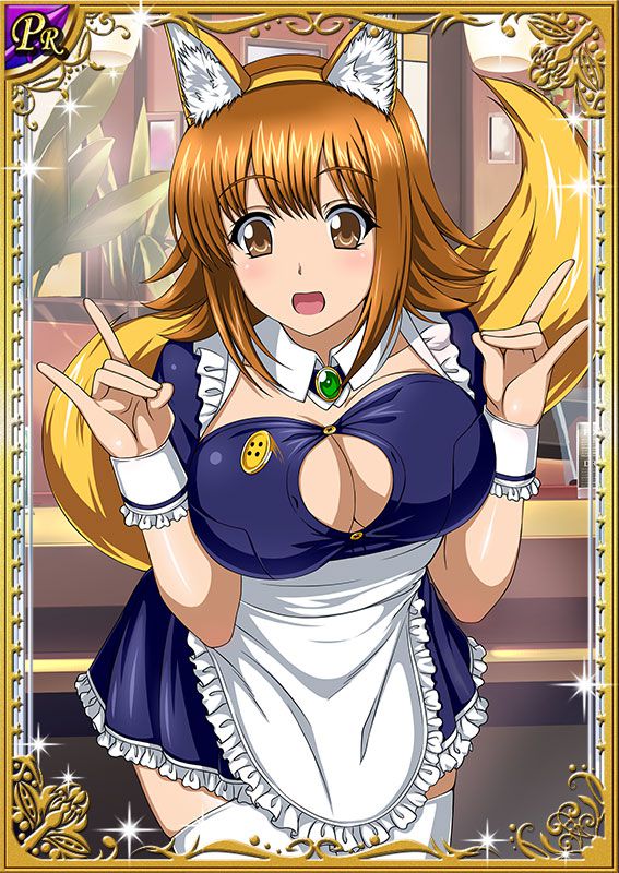 Ikkitousen Cards Coleccyion Ato set 221