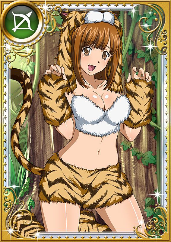 Ikkitousen Cards Coleccyion Ato set 251