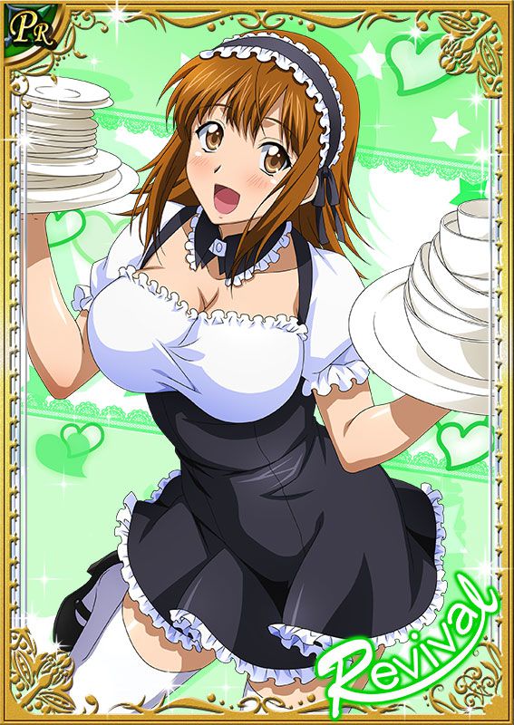 Ikkitousen Cards Coleccyion Ato set 445