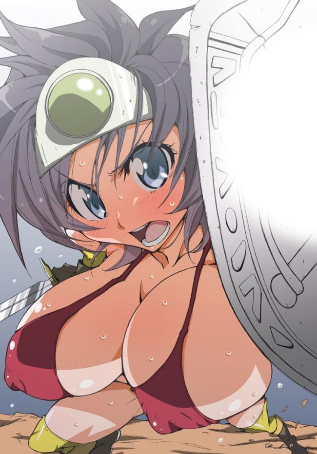 【Erotic Images】I collected images of cute female heroes, but they are too erotic ... (Dragon Quest) 16